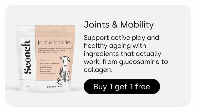 BOGO Joint and Mobility