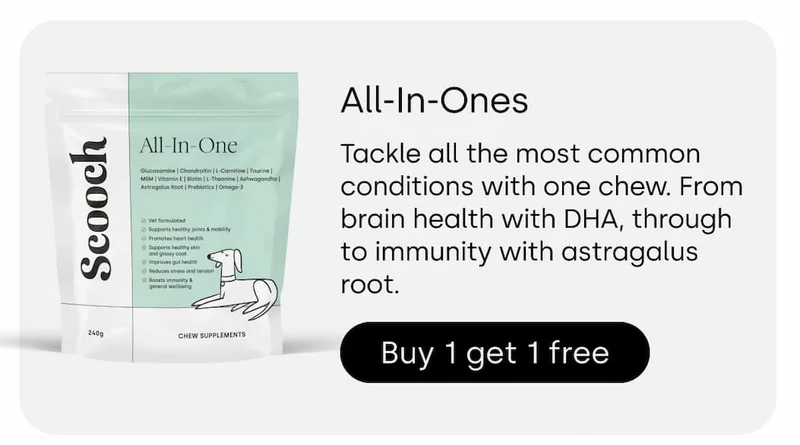 BOGO All-In-Ones