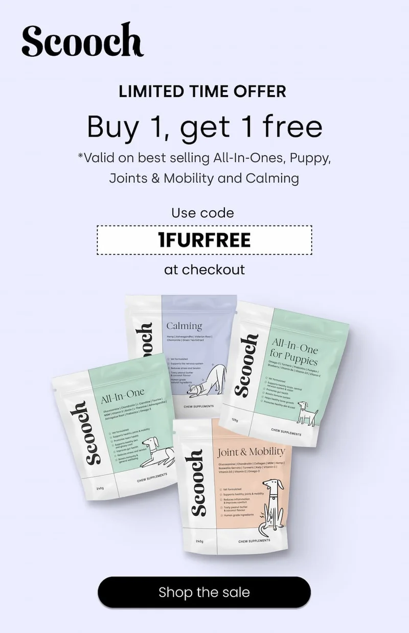 Limited time offer - BOGO