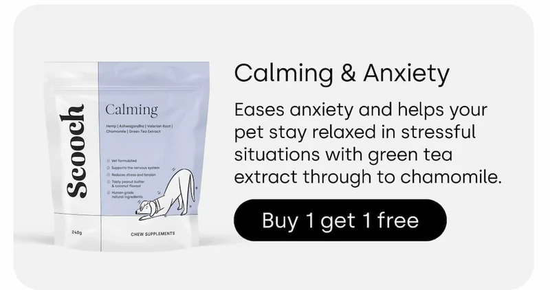 BOGO Calming and Anxiety