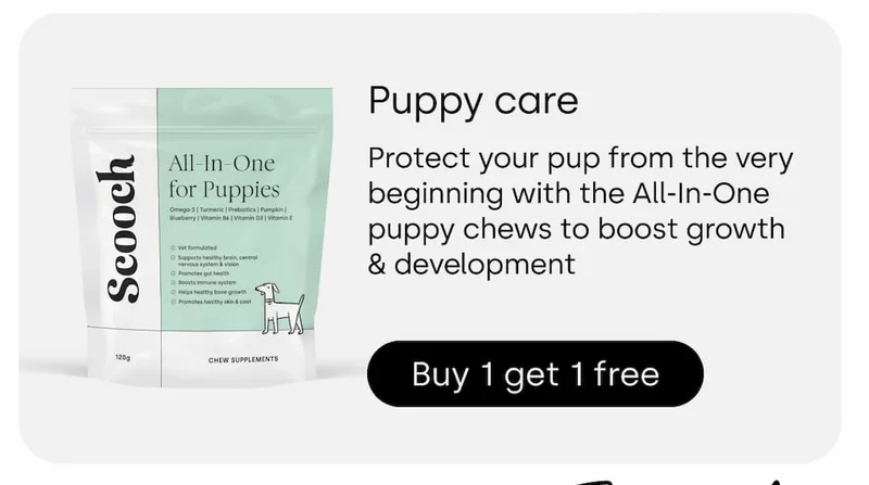 BOGO Puppy Care