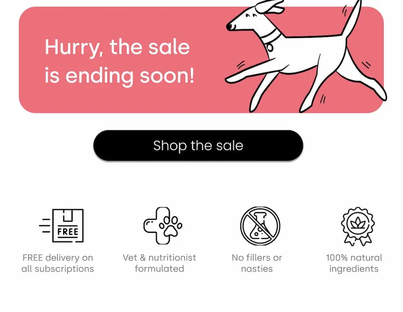 Hurry the sale is ending soon! Shop the Sale