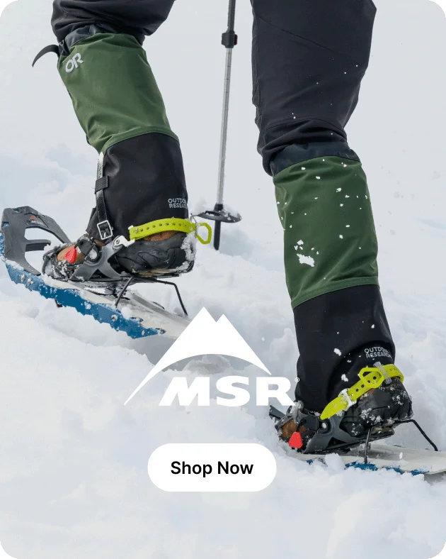 MSR MSR