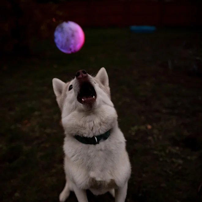 GlowStreak® LED Ball – Disc-O