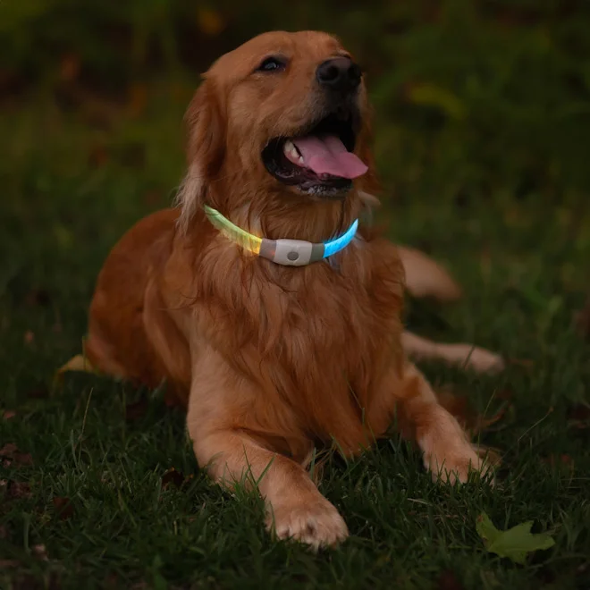 NiteHowl® Max Rechargeable LED Safety Necklace – Disc-O Select™