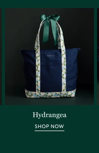 30% Off Hydrangea