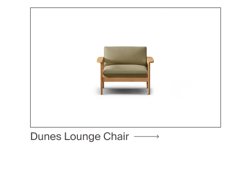 Shop Dunes Lounge Chair