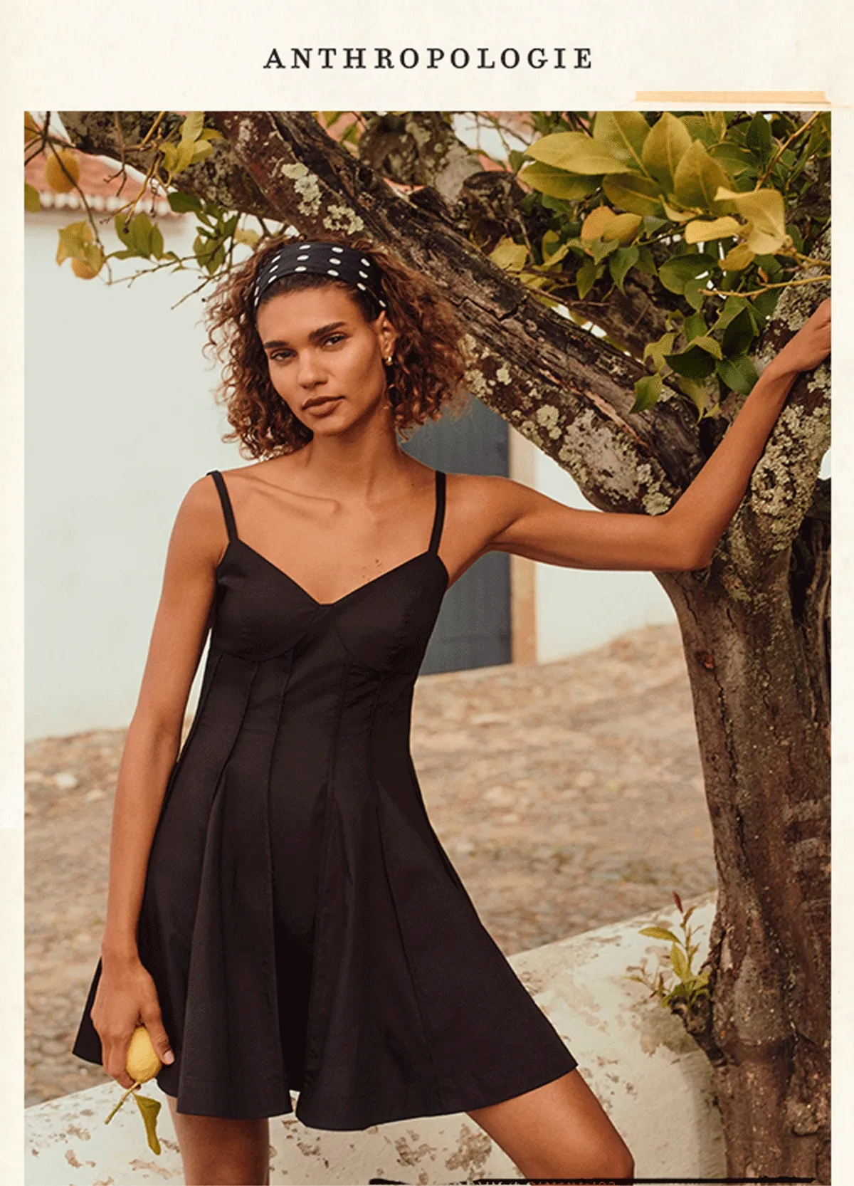 anthropologie
