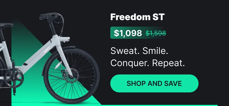 This is our most popular cruiser-type bike.