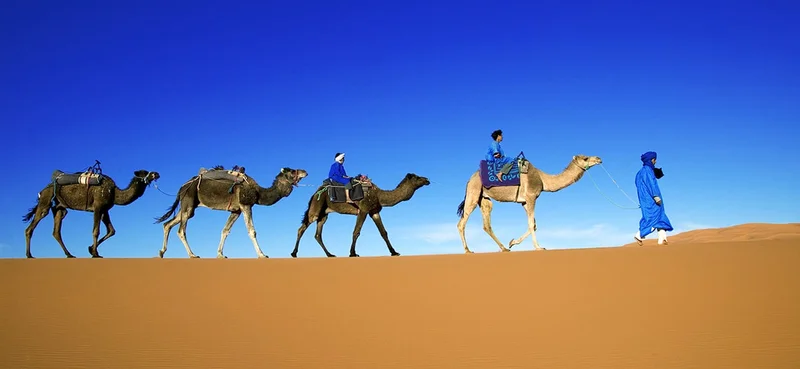 Tuareg man in a traditional blue robe with his children and camels in the Erg Chebbi area of the Sahara Desert, Morocco.