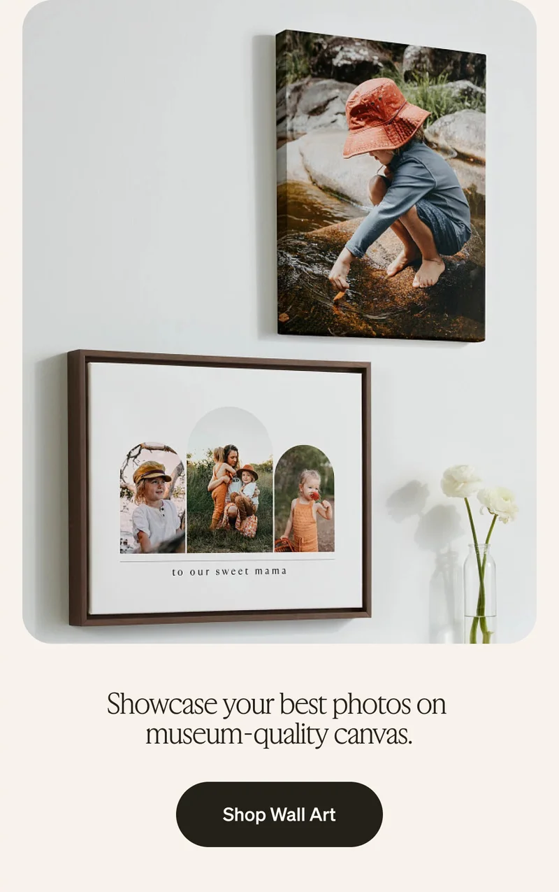 Free Shipping, No Min + Up to 40% Off Almost Everything