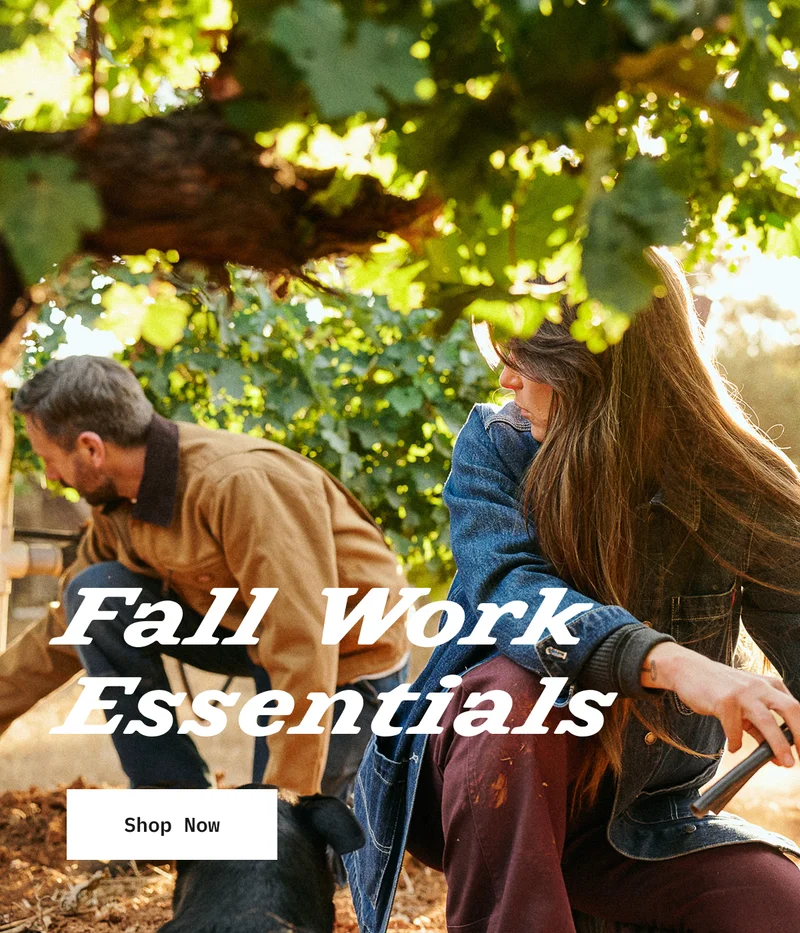Fall Work Essentials. Shop Now.