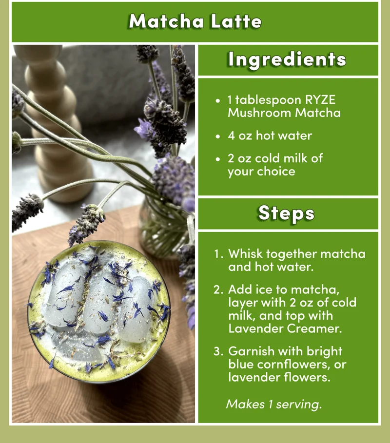 Matcha Latte | Ingredients | 1 tablespoon Ryze Mushroom Matcha | 4 oz hot water  | 2oz cold milk of your choice | Steps: 1. Whisk together matcha and hot water. | 2. Add ice to matcha, layer with 2 oz of cold milk, and top with lavender milk infusion. | 3. Garnish with bright blue cornflowers, or lavender flowers. | Makes 1 serving.