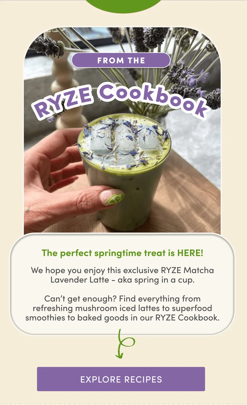 From the RYZE Cookbook | The perfect springtime treat is HERE! We hope you enjoy this exclusive RYZE Matcha Lavender Latte - aka spring in a cup.  Can’t get enough? Find everything from refreshing mushroom iced lattes to superfood smoothies to baked goods in our RYZE Cookbook. | Explore Recipes