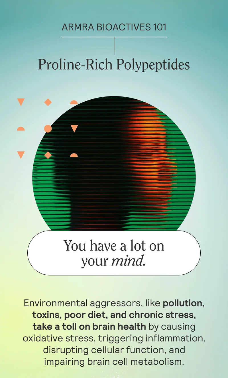 ARMRA BIOACTIVES 101. Proline-Rich Polypeptides  You have a lot on your mind. Environmental aggressors, like pollution, toxins, poor diet, and chronic stress, take a toll on brain health by causing oxidative stress, triggering inflammation, disrupting cellular function, and impairing brain cell metabolism.