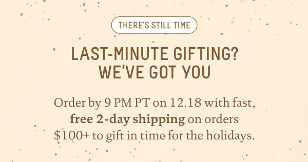 Free 2-Day Shipping On Orders $100+