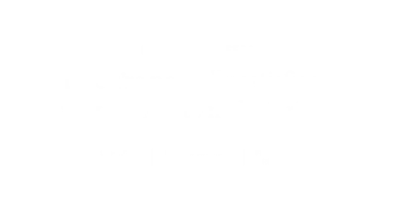 The Love Your Leesa Promise