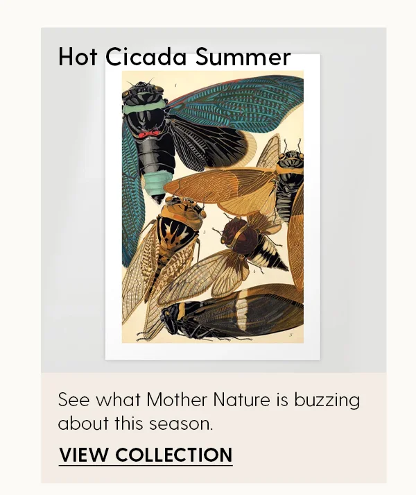 Hot Cicada Summer | See what Mother Nature is buzzing about this season. | View Collection