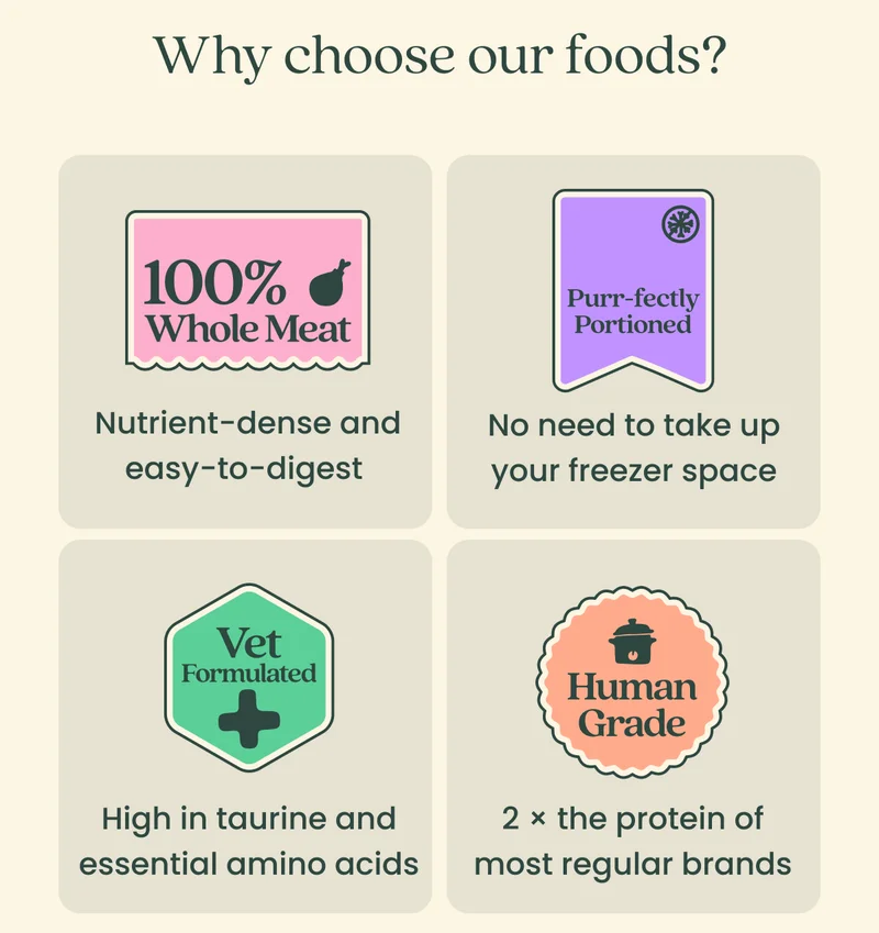 Why choose our foods