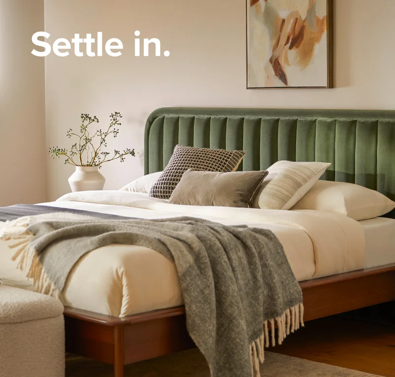 Settle in with Rolph.