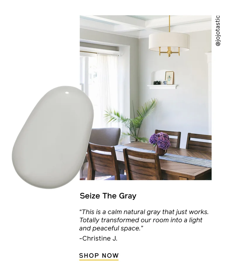 Seize The Gray. "This is a calm natural gray that just works. Totally transformed our room into a light and peaceful space." -Christine J. SHOP NOW