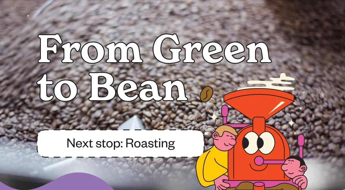 From Green to Bean Next stop: roasting