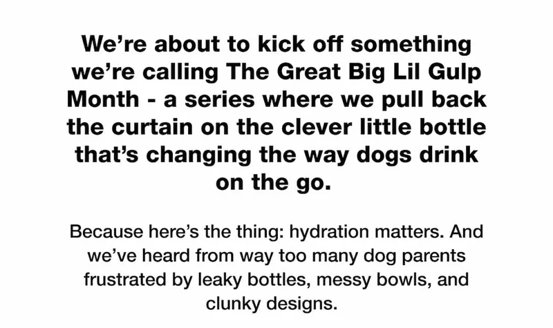 We’re about to kick off something we’re calling The Great Big Lil Gulp Month - a series where we pull back the curtain on the clever little bottle that’s changing the way dogs drink on the go.  Because here’s the thing: hydration matters. And we’ve heard from way too many dog parents frustrated by leaky bottles, messy bowls, and clunky designs.