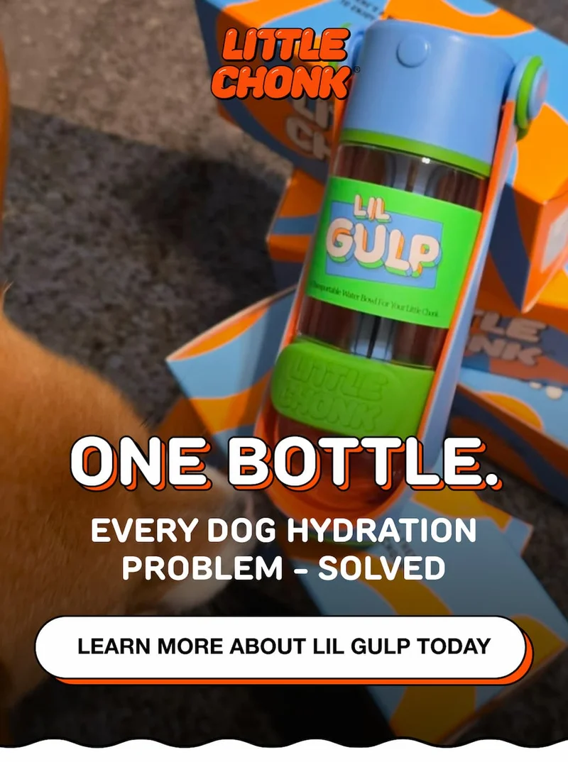 ONE BOTTLE. EVERY DOG HYDRATION PROBLEM - SOLVED