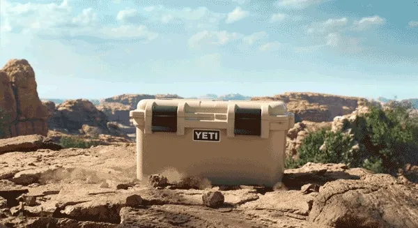 Shop The Full Collection