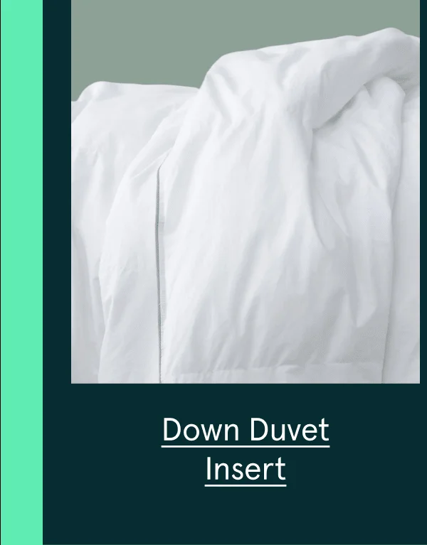 Down Duvet Insert