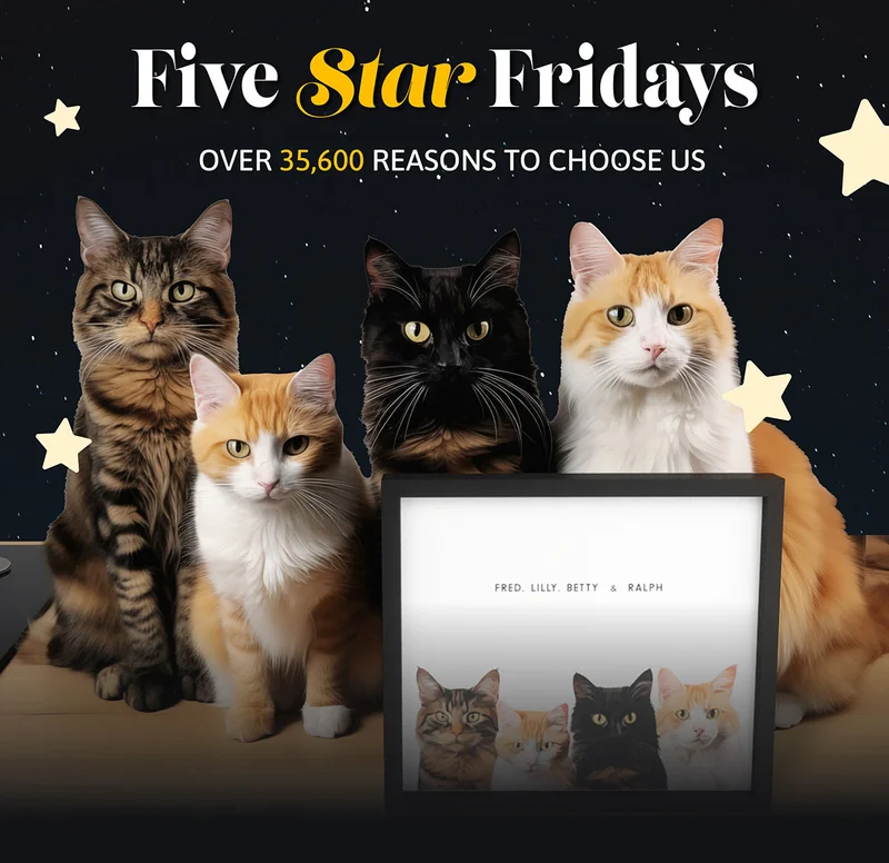 Five Star Friday! Over 35600 reasons to choose us
