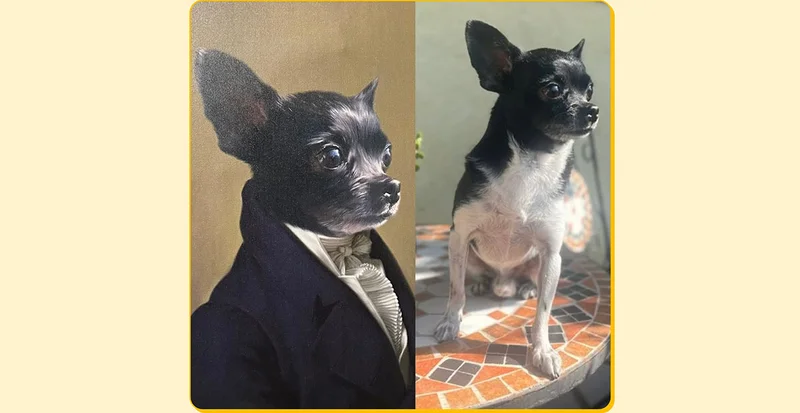 The Ambassador Pet Portrait