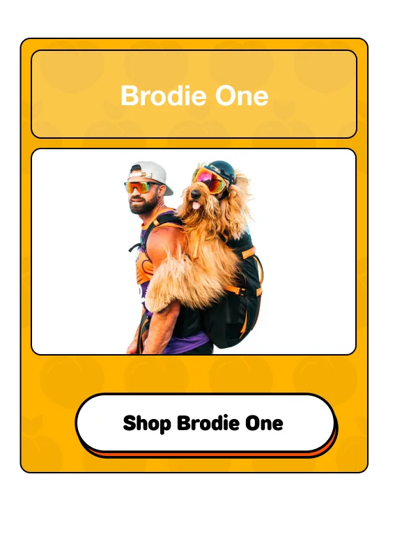 Brodie One