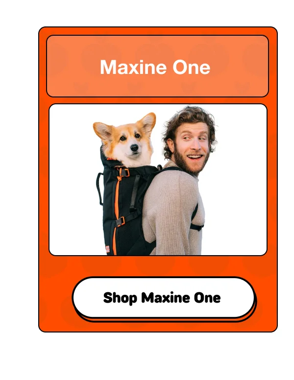 Maxine One