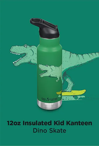 12oz Insulated Kids' Bottle - Dino Skate