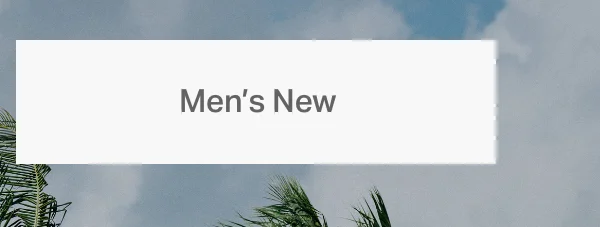 Men's New