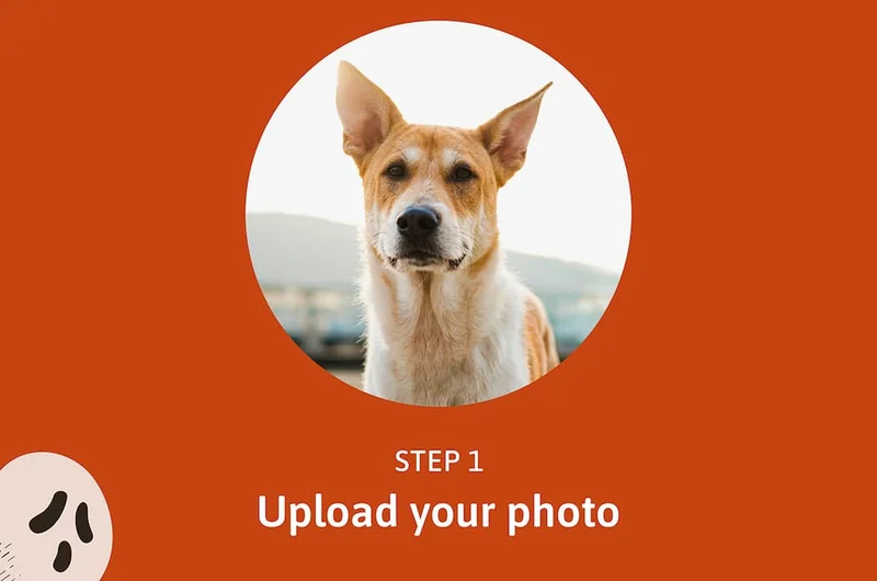 STEP 1: Upload your pet photo