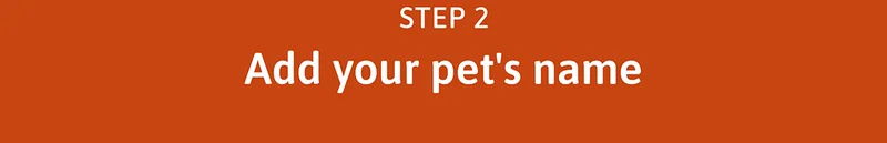 STEP 2: Add your pet's name