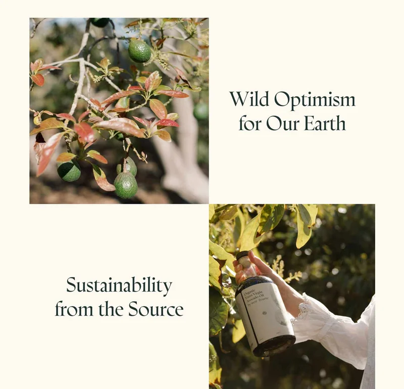 Wild optimism for our Earth | Sustainability from the source