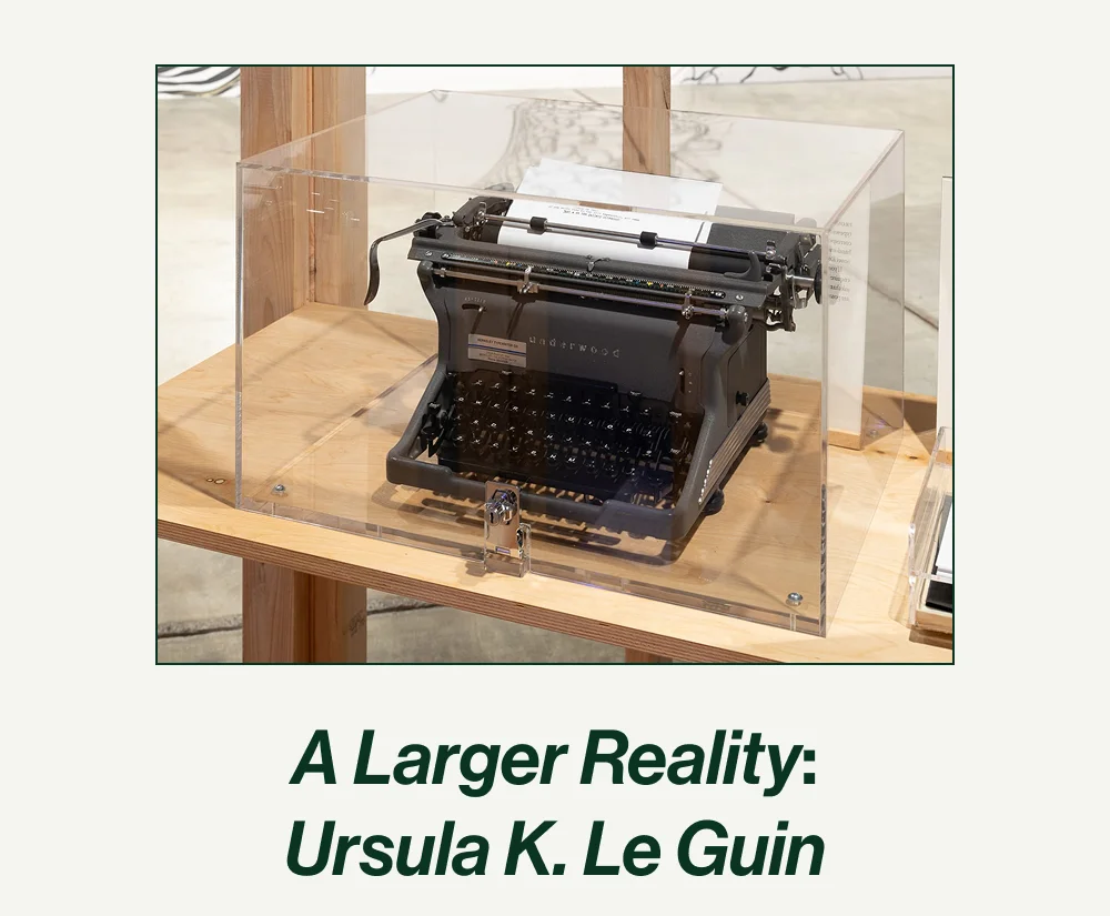 A Larger Reality