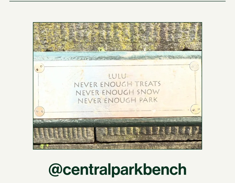 Central Park Bench