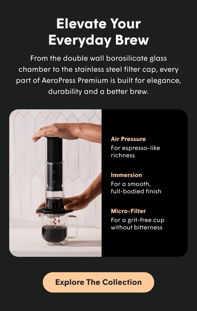 Elevate Your Everyday Brew