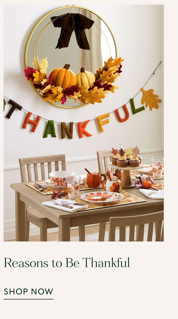 reasons to be thankful - shop now