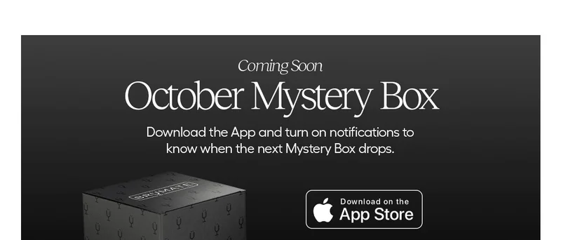 Coming Soon. October Mystery Box. Download the app and turn on notifications to know when the next Mystery Box drops.