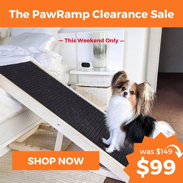 PawRamp