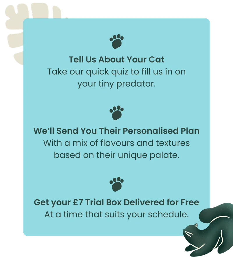 Tell Us About Your Cat Take our quick quiz to fill us in on your tiny predator. We’ll Send You Their Personalised Plan With a mix of flavours and textures based on their unique palate. Get your £7 Trial Box Delivered for Free At a time that suits your schedule.