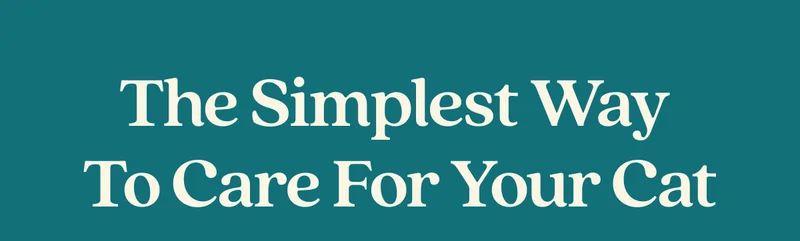 The Simplest Way  to Care for Your Cat