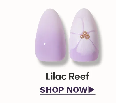 Shop Lilac Reef