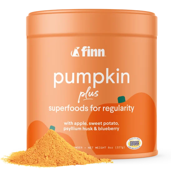 Image of Pumpkin Plus