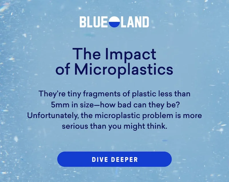 The Impact of Microplastics on Humans